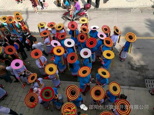 供應(yīng)國家標準獼猴桃嫁接一級苗|東紅|翠玉|紅陽|金艷|楚紅|青錢柳苗|金銀花苗|園林綠化|經(jīng)濟果林苗木批發(fā)