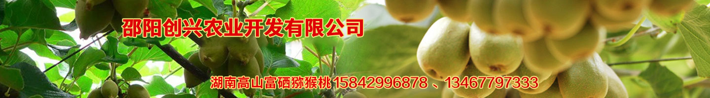 邵陽創(chuàng)興農業(yè)開發(fā)有限公司 湘蕾金銀花苗 優(yōu)質獼猴桃苗 獼猴桃苗批發(fā)價格 湖南金銀花苗 